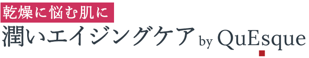 乾燥に悩む肌に潤いエイジングケア by QuEsque